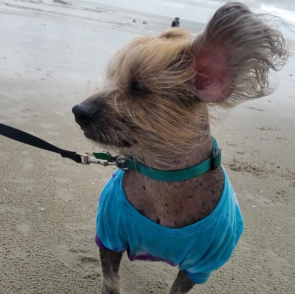 Hello! 🤗 - Picture 2 of 5